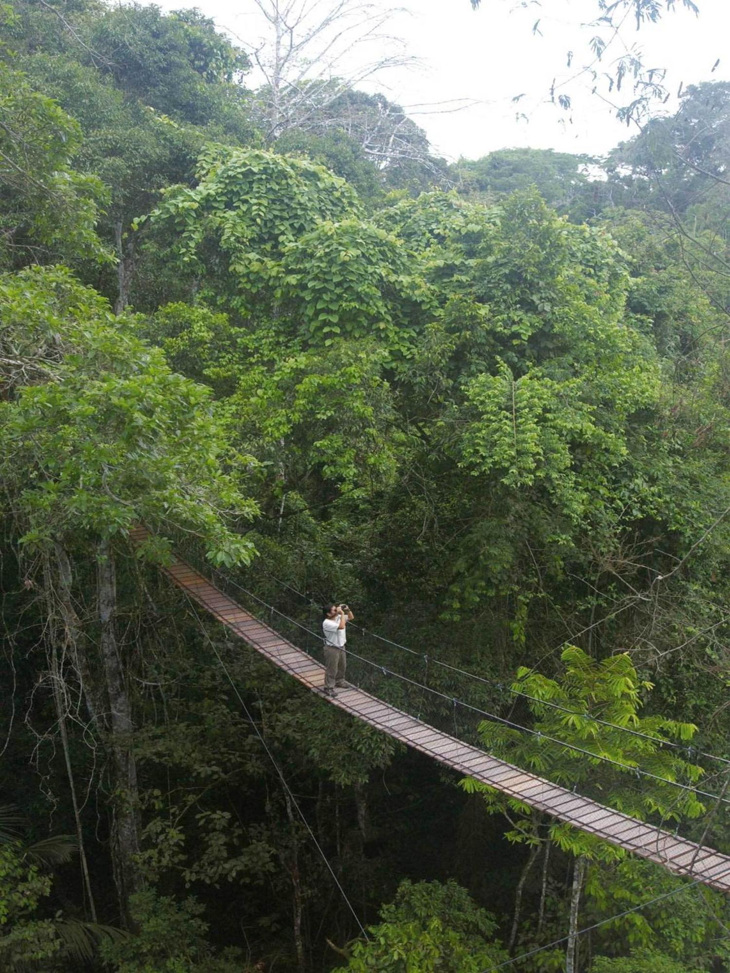 Inkaterra Reserva Amazonica Puerto Maldonado Exterior photo